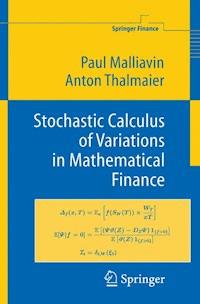 Stochastic Calculus of Variations in Mathematical Finance - Paul Malliavin - E-Book