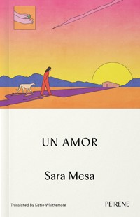 Un Amor - Sara Mesa - E-Book