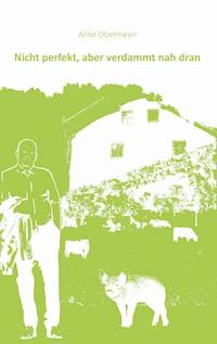 Nicht perfekt aber verdammt nah dran - Anke Obermeier - E-Book