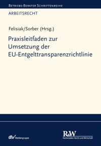 Praxisleitfaden zur Umsetzung der EU-Entgelttransparenzrichtlinie - Michaela Felisiak - E-Book