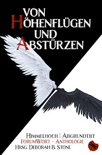 Von Höhenflügen und Abstürzen - Deborah B. Stone - E-Book