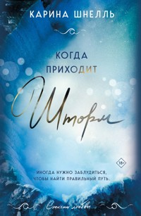 Когда приходит шторм - Карина Шнелль - E-Book
