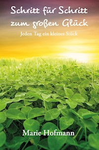 Schritt für Schritt zum großen Glück - Marie Hofmann - E-Book