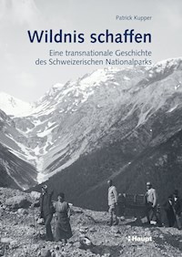 Wildnis schaffen - Patrick Kupper - E-Book
