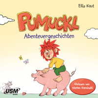 Pumuckl - Abenteuergeschichten - Ellis Kaut - Hörbuch