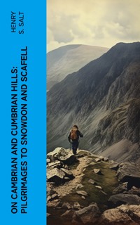On Cambrian and Cumbrian Hills: Pilgrimages to Snowdon and Scafell - Henry S. Salt - E-Book