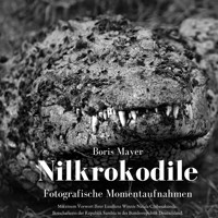 Nilkrokodile - Boris Mayer - E-Book