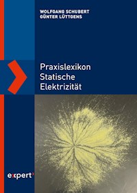 Praxislexikon statische Elektrizität - Wolfgang Schubert - E-Book