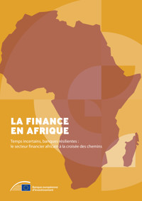 La finance en Afrique -  - kostenlos E-Book