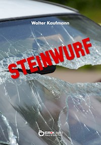 Steinwurf - Walter Kaufmann - E-Book