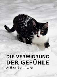 Verwirrung der Gefühle - Arthur Schnitzler - E-Book