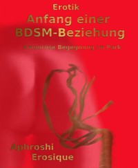 Anfang einer BDSM-Beziehung - Aphroshi Erosique - E-Book