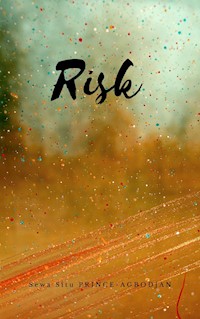 Risk - Sewa Situ Prince-Agbodjan - E-Book