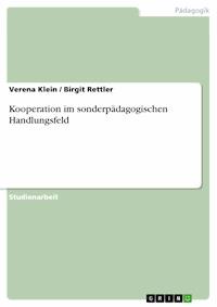 Kooperation im sonderpädagogischen Handlungsfeld - Verena Klein - E-Book