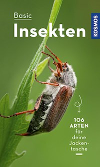 BASIC Insekten - Roland Gerstmeier - E-Book