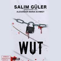 Wut - Peter Walsh, Band 2 (ungekürzt) - Salim Güler - Hörbuch