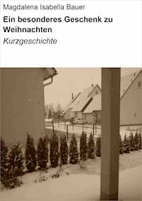 Ein besonderes Geschenk zu Weihnachten - Magdalena Isabella Bauer - E-Book