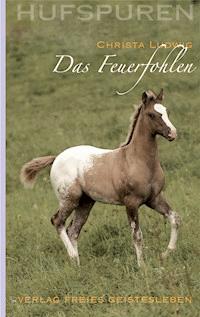 Hufspuren: Das Feuerfohlen - Christa Ludwig - E-Book