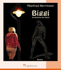 Biggi - Im Schatten der Nacht - Manfred Herrmann - E-Book