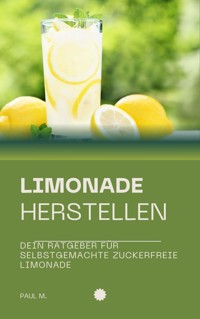 Limonade herstellen - Paul M. - E-Book