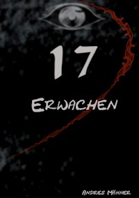 17 - Andres Männer - E-Book