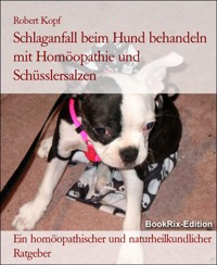 Schlaganfall beim Hund behandeln mit Homöopathie und Schüsslersalzen - Robert Kopf - E-Book