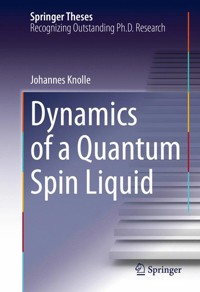 Dynamics of a Quantum Spin Liquid - Johannes Knolle - E-Book