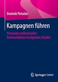 Kampagnen führen - Dominik Pietzcker - E-Book