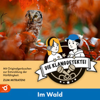 Im Wald - Klangdetektei, Folge 1 (Ungekürzt) - Christian Walter - Hörbuch