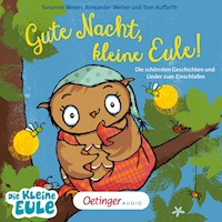 Gute Nacht, kleine Eule! Die schönsten Geschichten und Lieder zum Einschlafen - Susanne Weber - Hörbuch