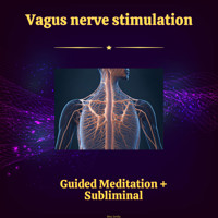 Vagus Nerve Stimulation - Guided Meditation & Subliminal - Miss Smilla - Hörbuch