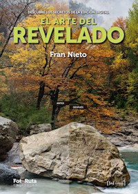 El arte del revelado - Fran Nieto - E-Book