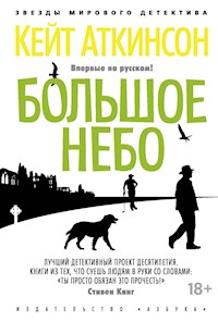 Большое небо - Кейт Аткинсон - E-Book