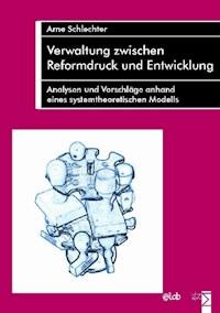 Verwaltung zwischen Reformdruck und Entwicklung - Arne Schlechter - E-Book