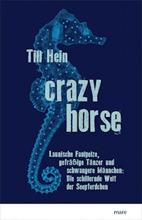 Crazy Horse - Till Hein - E-Book
