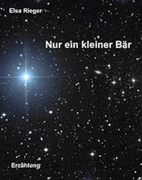 Nur ein kleiner Bär - Elsa Rieger - E-Book
