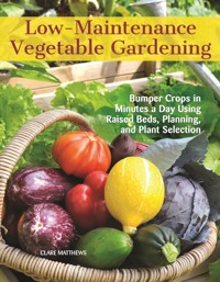 Low-Maintenance Vegetable Gardening - Clare Matthews - E-Book