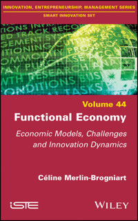 Functional Economy - Céline Merlin-Brogniart - E-Book