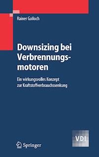 Downsizing bei Verbrennungsmotoren - Rainer Golloch - E-Book