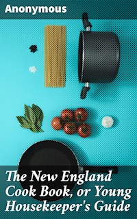 The New England Cook Book, or Young Housekeeper's Guide - Anonymous - E-Book