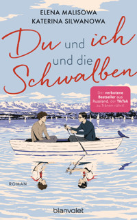 Du und ich und die Schwalben - Katerina Silwanowa - E-Book