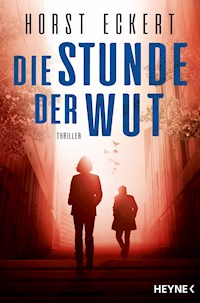 Die Stunde der Wut - Horst Eckert - E-Book