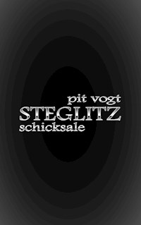 Steglitz - Pit Vogt - E-Book