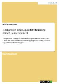 Eigenanlage- und Liquiditätssteuerung gemäß Bankenaufsicht - Niklas Werner - E-Book