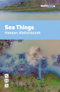 Sea Things - Hassan Abdulrazzak - E-Book