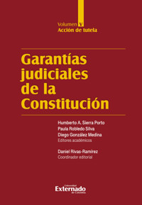 Garantías judiciales de la Constitución Tomo V - Varios autores - E-Book