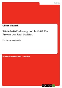 Wirtschaftsförderung und Leitbild. Ein Projekt der Stadt Staßfurt - Oliver Sieweck - E-Book