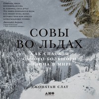 Совы во льдах: Как спасали самого большого филина в мире - Джонатан Слат - Hörbuch