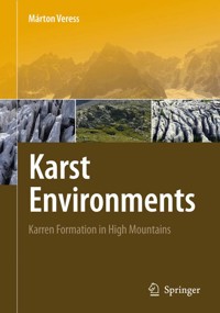 Karst Environments - Márton Veress - E-Book
