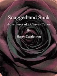 Snagged and Sunk - Harry Castlemon - E-Book